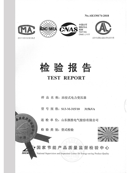 檢驗報告